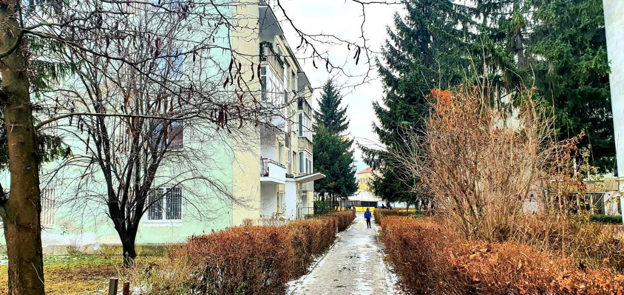 5 Min To Everything-Stylish-Modern-Old City Center Брашов Екстер'єр фото